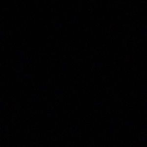 Meet your Posher, Ronnie